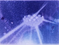 http://portal.benivuula.com/files/gimgs/th-137_neverdrive web-6.jpg